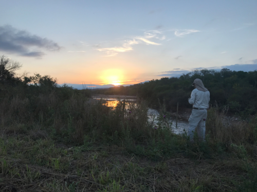 Dorado-fishing-in-Salta16