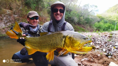 Dorado-fishing-in-Salta8