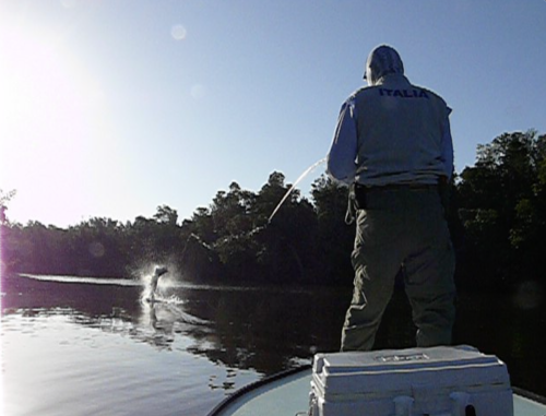 Everglades-Fishing-0010