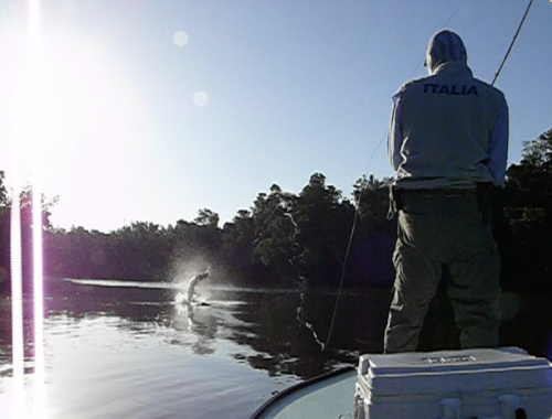Everglades-Fishing-0011