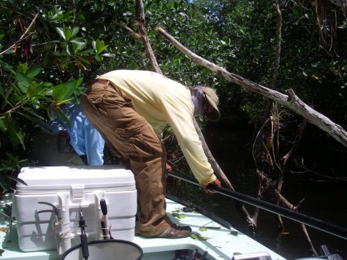 Everglades-Fishing-0014