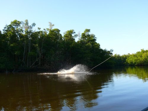 Everglades-Fishing-005