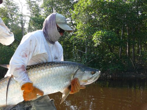 Everglades-Fishing-0064