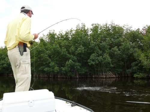 Everglades-Fishing-0067