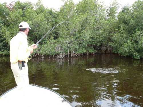Everglades-Fishing-0068