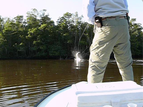 Everglades-Fishing-007