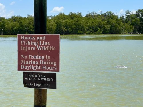 Everglades-Lodge-0020