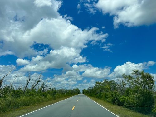 Everglades-Lodge-0036