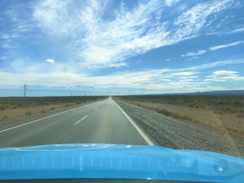 IMG 7879