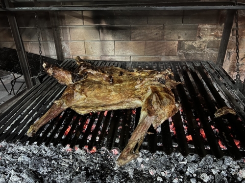 Patagonia-March-2023-151