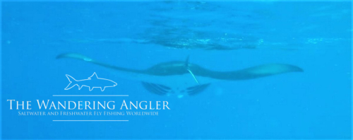 The Wandering Angler - August 2019  Family Group (holidays  fishing) 0143