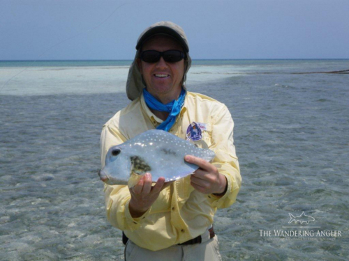 The Wandering Angler - Belize Lodge039 (1)