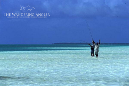 The Wandering Angler - Christmas Island 013