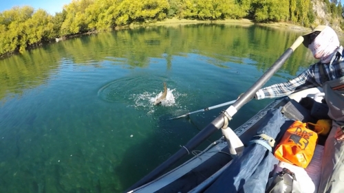 The Wandering Angler - Chubut province March 2019 trip0028 (1)