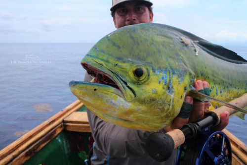 The Wandering Angler - Costa Rica Lodge0005