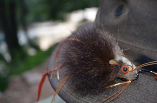 The Wandering Angler - Hucho fishing012