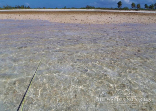 The Wandering Angler - Kiritimati Island - Fishing 004
