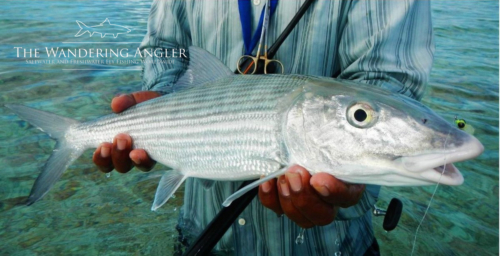 The Wandering Angler - Kiritimati Island - Fishing 038