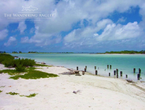 The Wandering Angler - Kiritimati Island - Island  Lodge 004