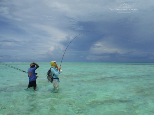 The Wandering Angler - Maldives Lodge0009 