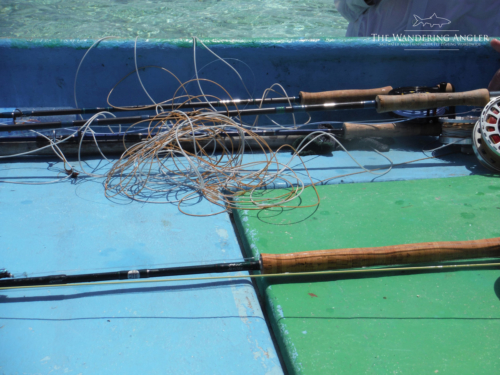 The Wandering Angler - Maldives Lodge0013