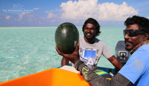 The Wandering Angler - Maldives Lodge0015