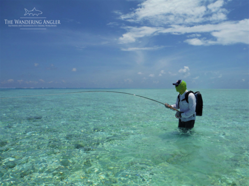 The Wandering Angler - Maldives Lodge0023