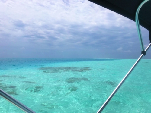 The Wandering Angler - Maldives group  - August 2019 - 0059 