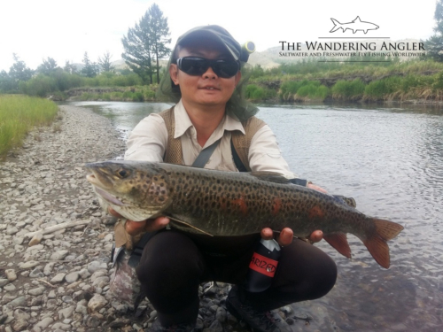 The Wandering Angler - Mongolia taimen0003