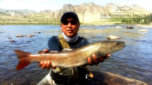 The Wandering Angler - Mongolia taimen0006