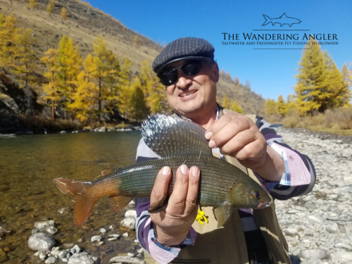 The Wandering Angler - Mongolia taimen0010 (1)