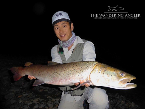 The Wandering Angler - Mongolia taimen0012