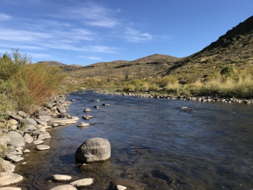 The Wandering Angler - Norte Neuquino March 2019 trip0015