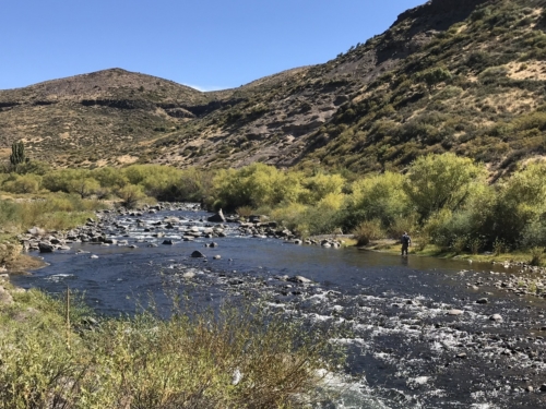 The Wandering Angler - Norte Neuquino March 2019 trip0019