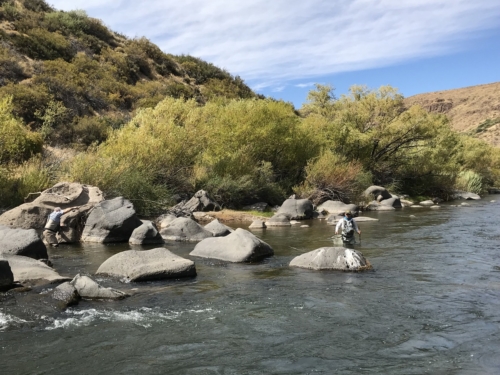 The Wandering Angler - Norte Neuquino March 2019 trip0020