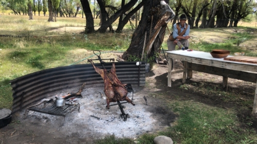The Wandering Angler - Norte Neuquino March 2019 trip0024 (1)