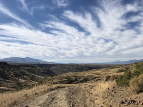 The Wandering Angler - Norte Neuquino March 2019 trip0035 (1)