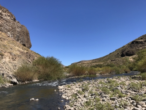 The Wandering Angler - Norte Neuquino March 2019 trip0038