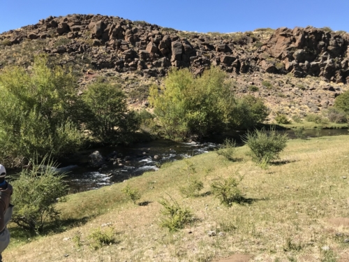 The Wandering Angler - Norte Neuquino March 2019 trip0048 (1)