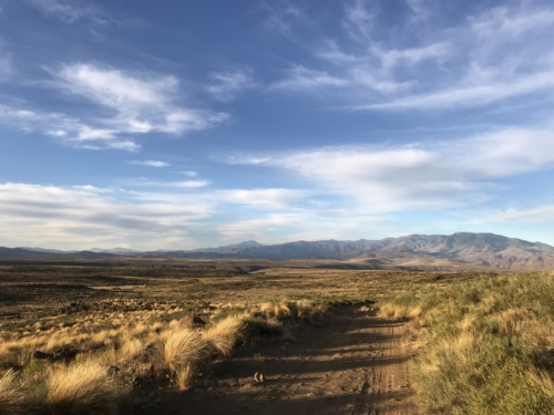 The Wandering Angler - Norte Neuquino March 2019 trip0051 (2)
