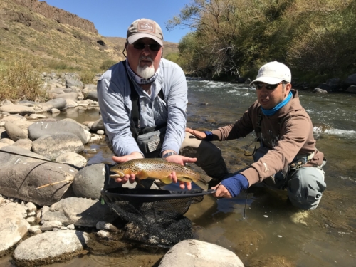 The Wandering Angler - Norte Neuquino March 2019 trip0062 (2)