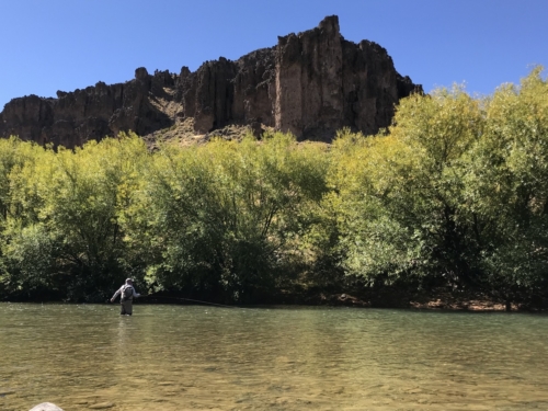 The Wandering Angler - Norte Neuquino March 2019 trip0110 (1)