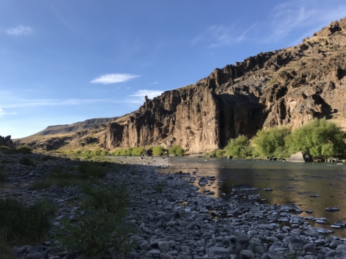 The Wandering Angler - Norte Neuquino March 2019 trip0115 (2)
