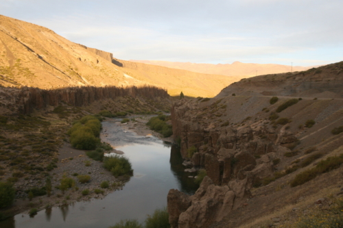 The Wandering Angler - Norte Neuquino March 2019 trip0119 (1)
