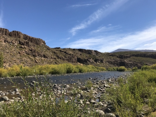 The Wandering Angler - Norte Neuquino March 2019 trip0157 (1)