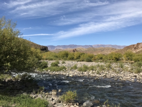 The Wandering Angler - Norte Neuquino March 2019 trip0159 (3)