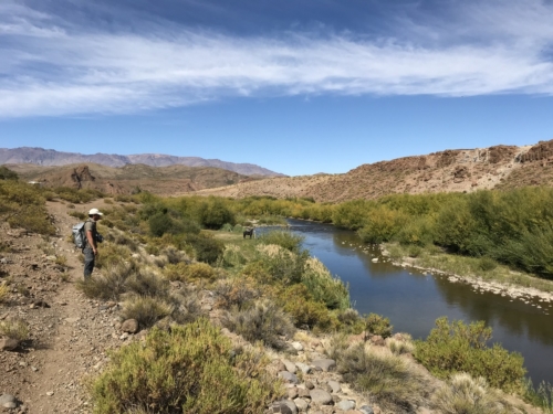 The Wandering Angler - Norte Neuquino March 2019 trip0162 (1)
