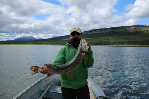 The Wandering Angler - Yukon Lodge0014 (3)