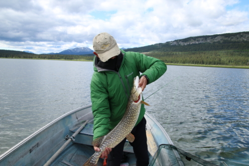 The Wandering Angler - Yukon Lodge0015 (3)