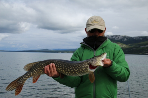 The Wandering Angler - Yukon Lodge0017 (3)